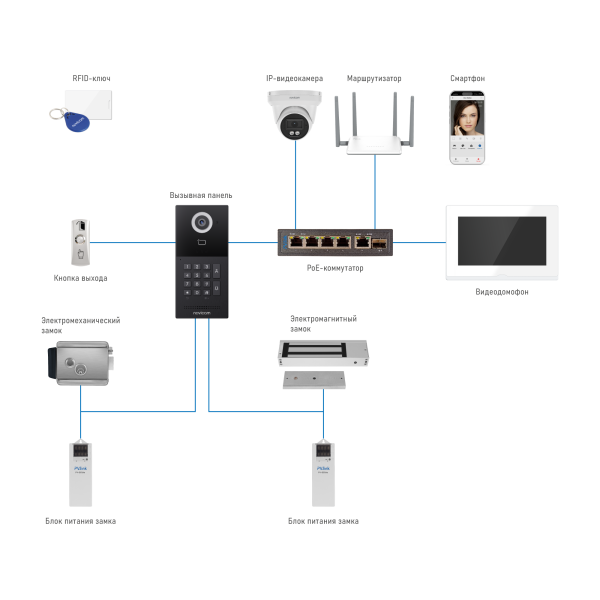 Structure_FORWARD_single (2000x2000)